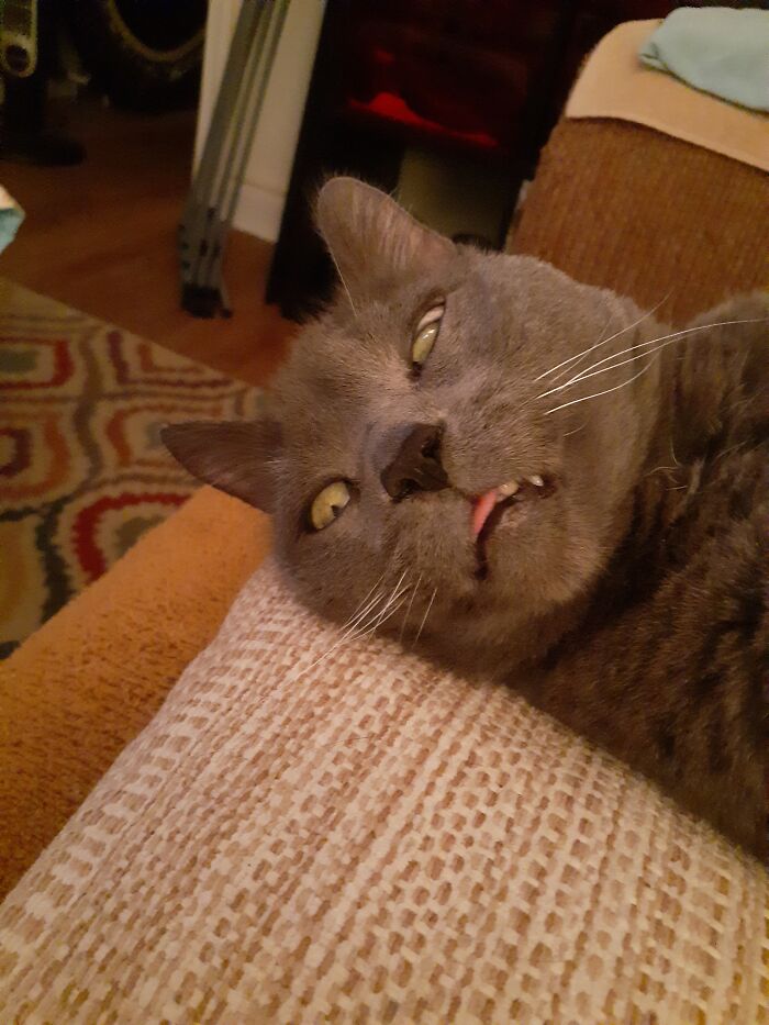 Trying To Stay Awake