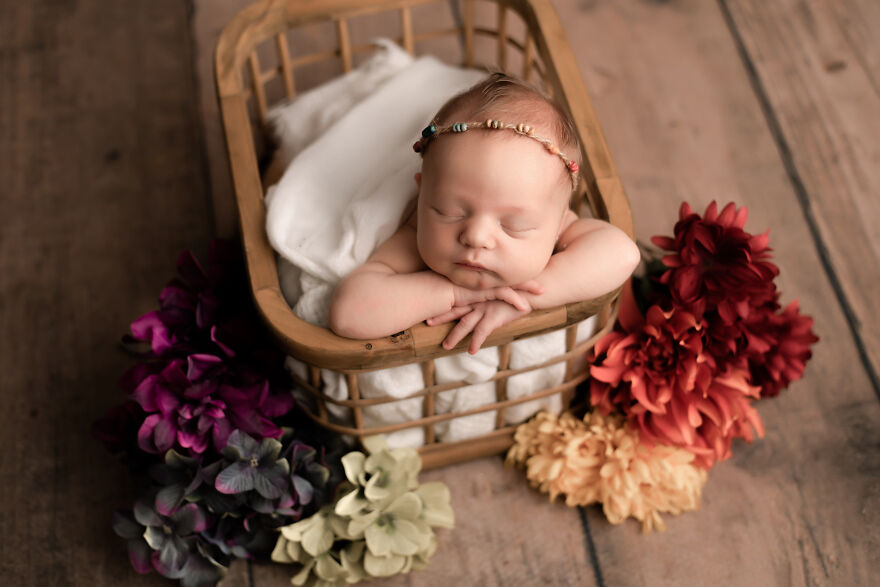 Rainbow Blooming Flowers