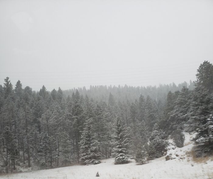 I Absolutely Loved Visiting Colorado And Can't Wait To Go Back Someday