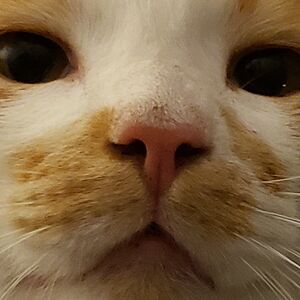 elizabethpersyn avatar