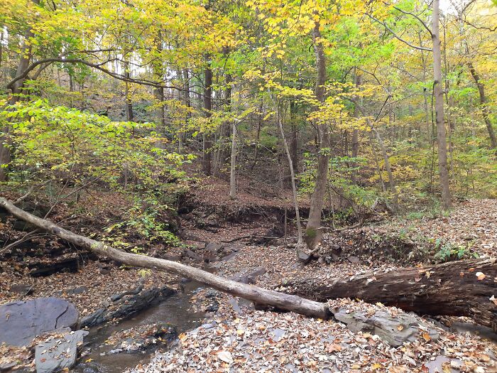 So Many Pictures. Off The Main Trail, Very Peaceful