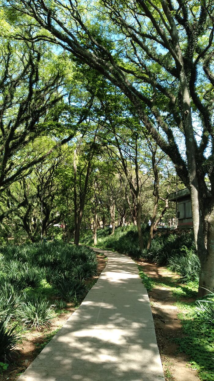 A Square In The Neighborhood