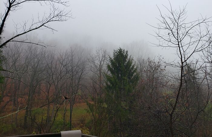 Up Near The Top In The Fog, As Seen From Our 'Burrow' (Much Of It Is Hidden Underground.)