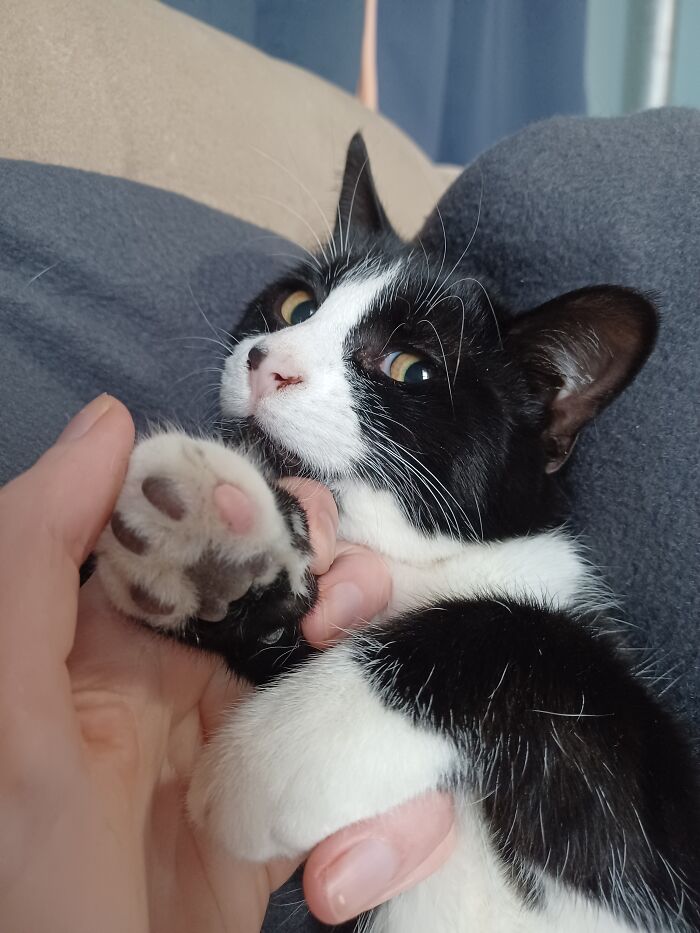 1 Pink Bean Among The Others