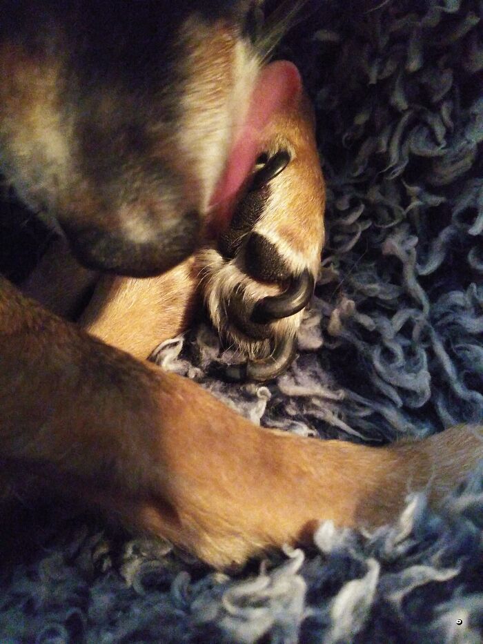 My Baby Is Too Shy To Show Off His Toe Beans, But I Managed To Get A Shot