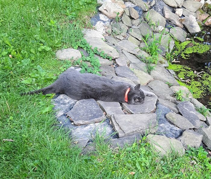 Melted Onto The Rocks