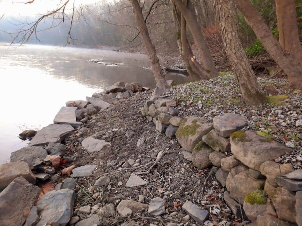 Out For A Walk. The Smell Of The Dirt, The Trees, The Water