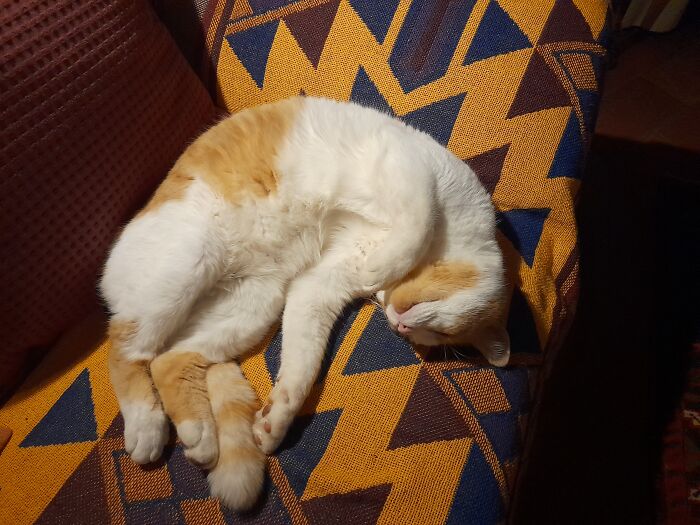 No Cervical Pain This One