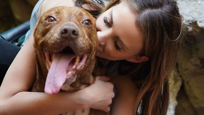 This Pit Bull Was Horrifically Abused For 10 Years Before He Found His Peace When Taken Into The Hands Of Kind-Hearted People This Pit Bull Was Horrifically Abused For 10 Years Before He Found His Peace When Taken Into The Hands Of Kind-Hearted People