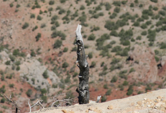 45 Of The Most Amusing Child-Friendly Insults That Members Of This Online Group Couldn't Resist Sharing With Others