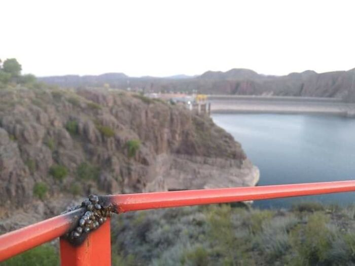 Rusty railing secured with melted plastic overlooking a dam, showing disregard for OSHA safety regulations.