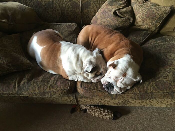 Former Students Share 35 Bizarre Things That Happened At Their Schools