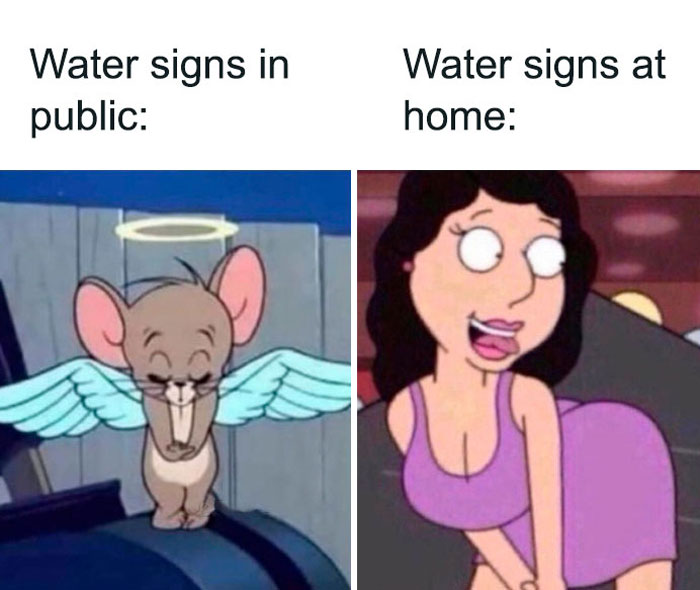 Water signs being shy in public but sassy at home meme