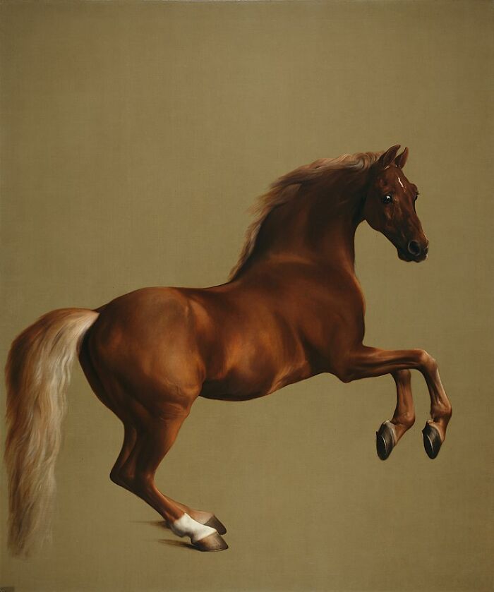 Whistlejacket (1762) By George Stubbs
