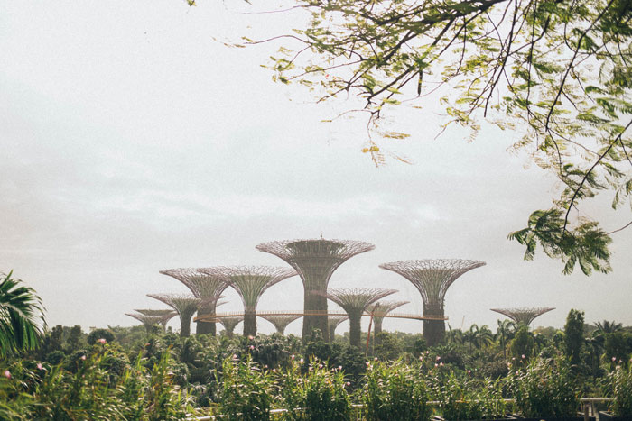 Visit Gardens By The Bay In Singapore