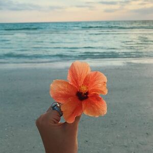 scarlettbingham avatar