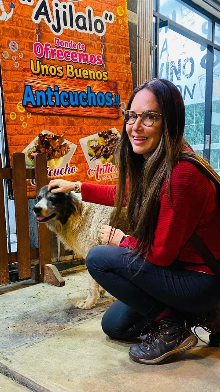 Restaurant Owner Feeds Every Homeless Dog That Visits Restaurant Owner Feeds Every Homeless Dog That Visits