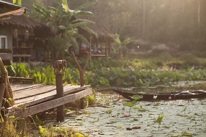 Jungle Conservation In Peru