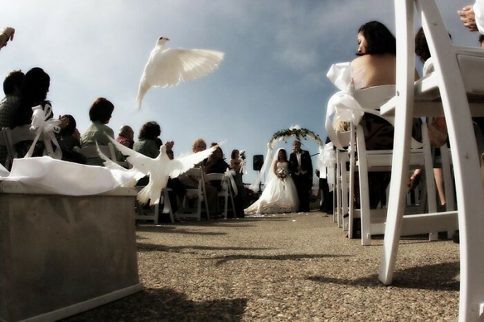 Folks Online Get Second-Hand Embarrassment When They See These 35 Things At Weddings