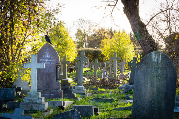 Guy Asks Internet For Some Relationship Advice After Falling In Love With His Ex-Wife’s Sister, Goes Viral Guy Asks Internet For Some Relationship Advice After Falling In Love With His Ex-Wife’s Sister, Goes Viral