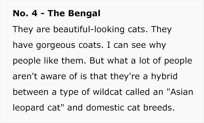 Veterinary Surgeon Reveals Cat And Dog Breeds He'd Never Buy And Explains Why Veterinary Surgeon Reveals Cat And Dog Breeds He'd Never Buy And Explains Why