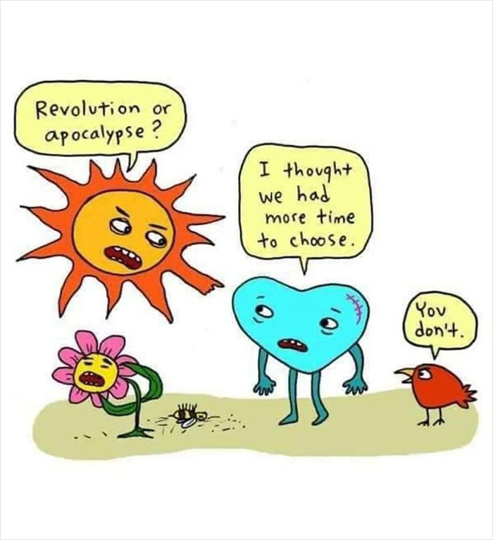 Cartoon dark meme with sun, flower, heart, and bird discussing revolution and apocalypse about nature and the planet.