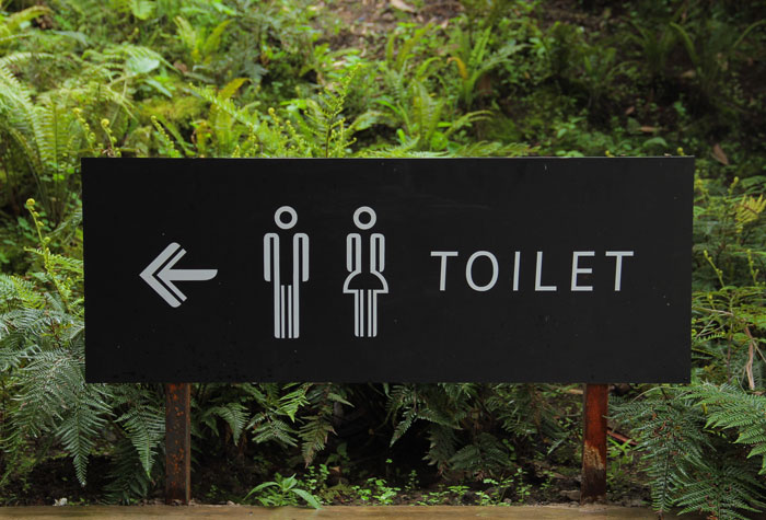 Unable To Find A Toilet