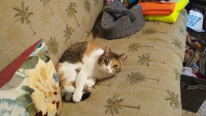 Looking At My Precious Girl