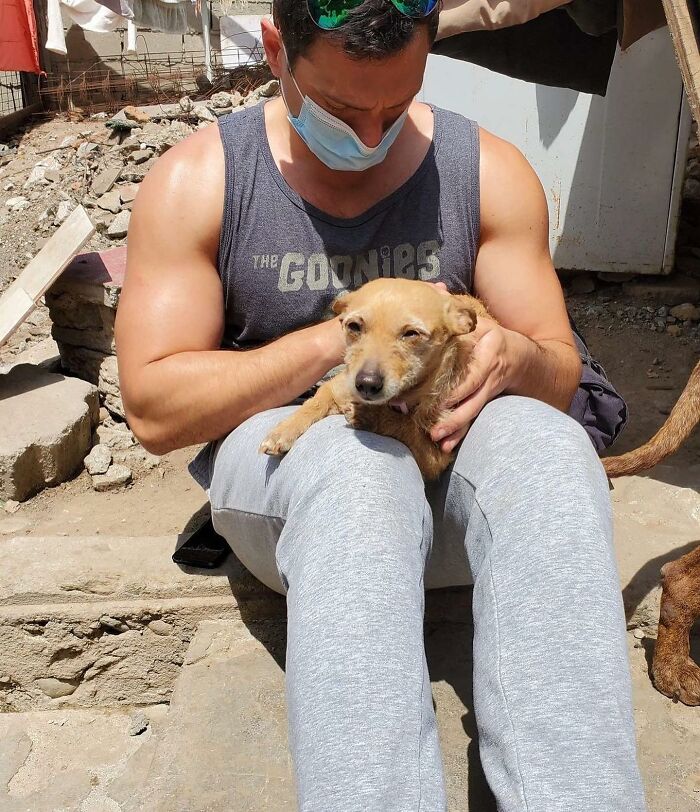 This Pit Bull Was Horrifically Abused For 10 Years Before He Found His Peace When Taken Into The Hands Of Kind-Hearted People This Pit Bull Was Horrifically Abused For 10 Years Before He Found His Peace When Taken Into The Hands Of Kind-Hearted People