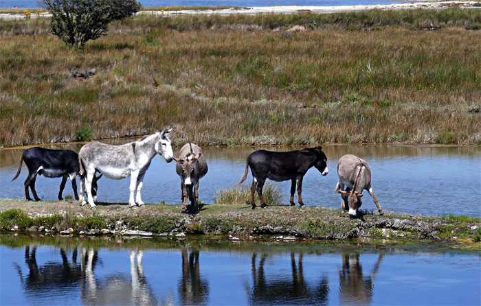 45 Of The Most Amusing Child-Friendly Insults That Members Of This Online Group Couldn't Resist Sharing With Others