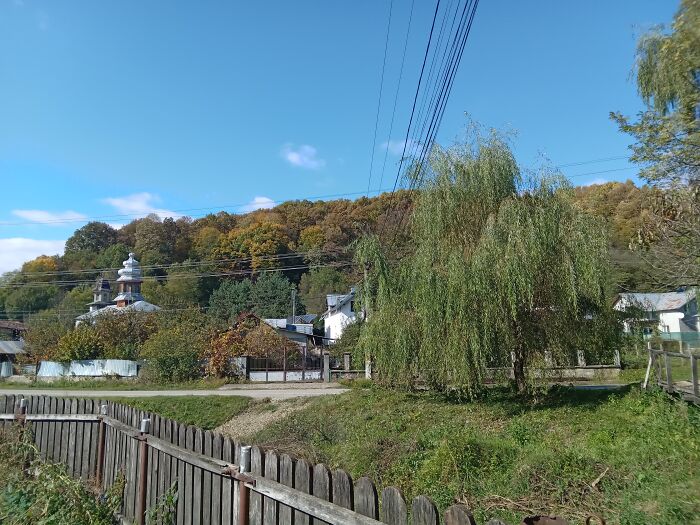 The View From My Childhood Home