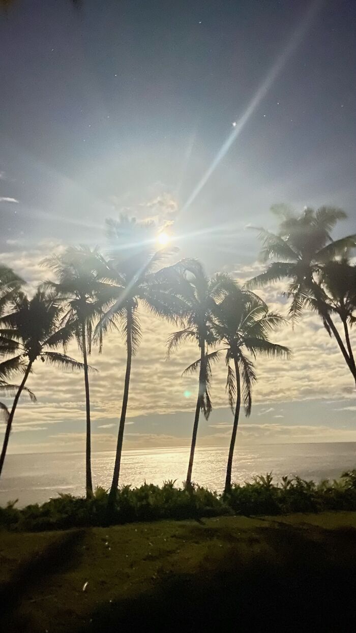 My Front Yard At Midnight With A Long Exposure