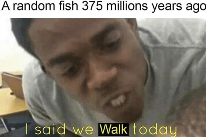 Close-up of a man making a funny face with a caption about a random fish 375 million years ago, dark nature meme humor.