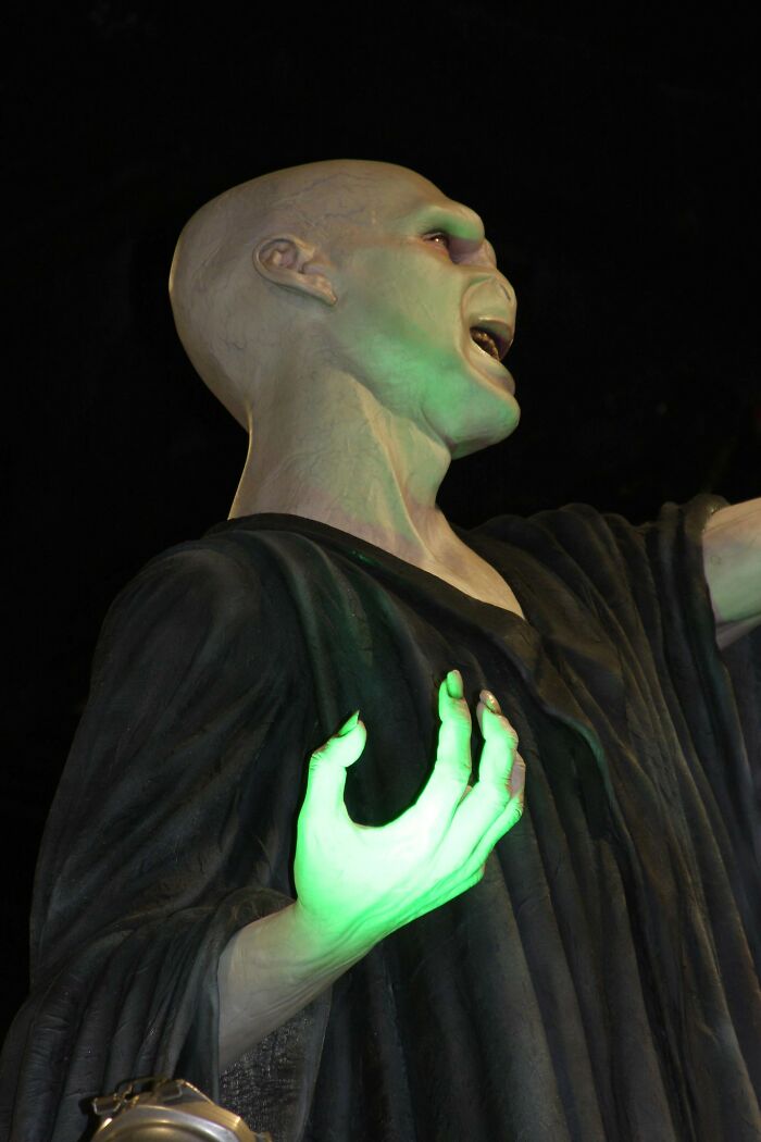 40 Of The Strangest Wishes That The Make-A-Wish Foundation Actually Granted, As Shared By People Online