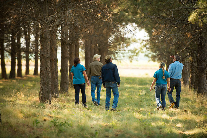 “What Did The Pandemic Ruin More Than We Realize?” (30 Answers)