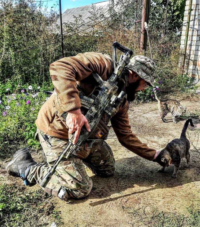 Uaarmy-Animals-Instagram