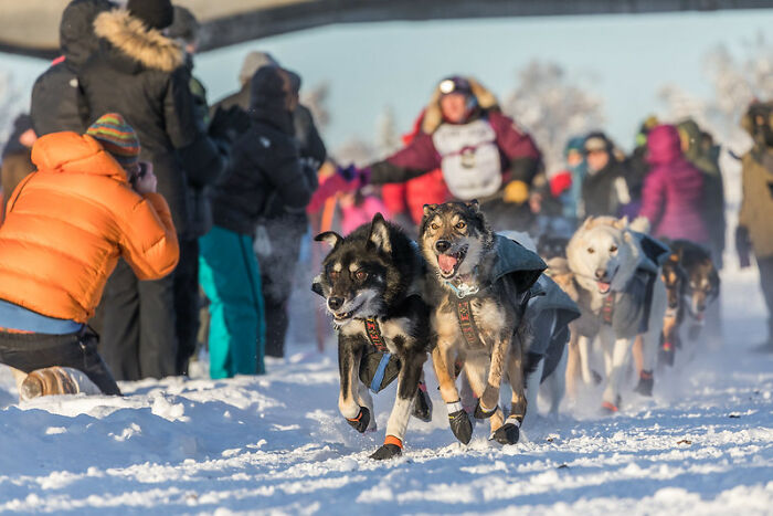 40 Of The Strangest Wishes That The Make-A-Wish Foundation Actually Granted, As Shared By People Online