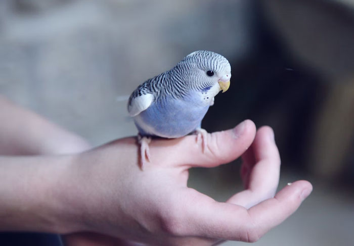 &ldquo;They Will Simply Have To Keep An Eye On Their Kids&rdquo;: Family Members Are Enraged At This Woman Who Refused To Childproof Her House For Their Kids