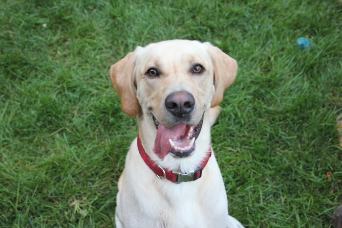 Clearly The Best Thing I ‘Own’. Though He Claim It’s The Other Way Around