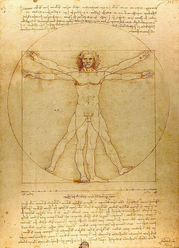 Vitruvian Man drawing by Leonardo da Vinci illustrating human proportions in art, facts they don't teach you in art classes