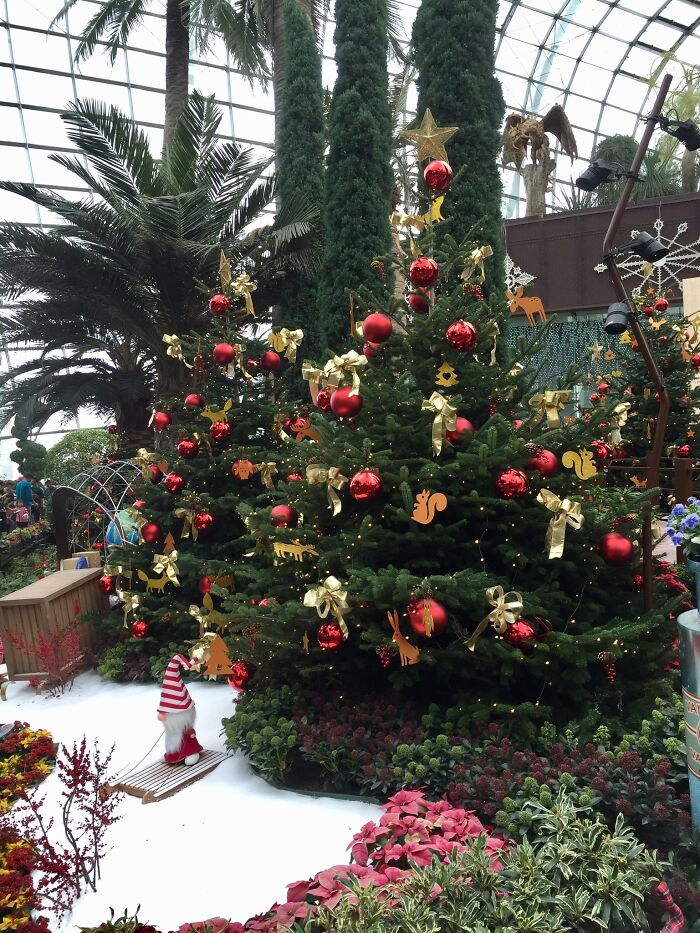 Christmas At Gardens By The Bay, Singapore