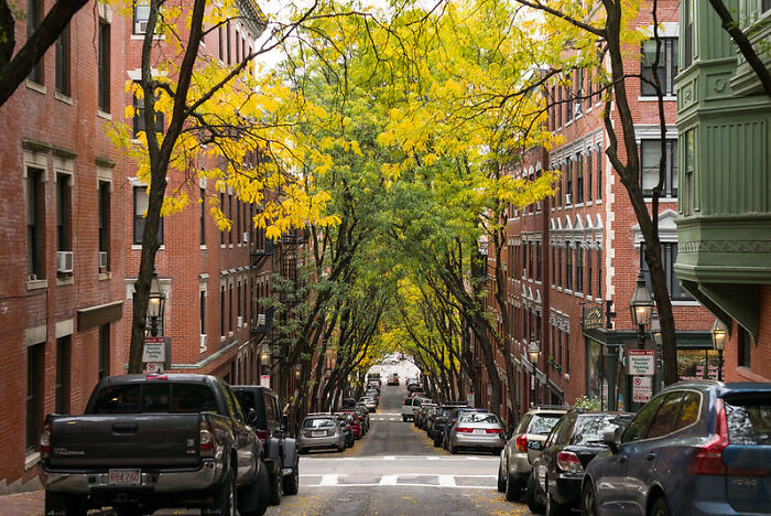 Alguien preguntó en Internet "Estadounidenses, ¿qué es algo bueno de su país?" y 25 personas respondieron