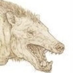 fionaschlossberg avatar