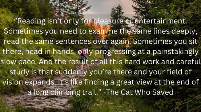 40 Of My Favorite Book Quotes