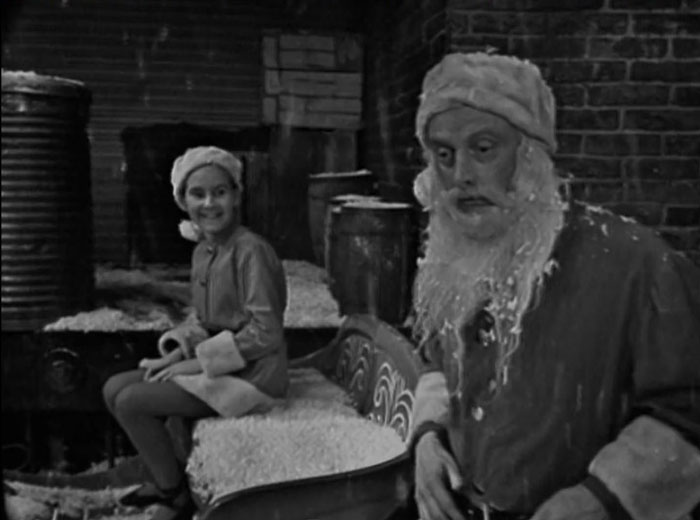 A man with the beard covered in the snow 