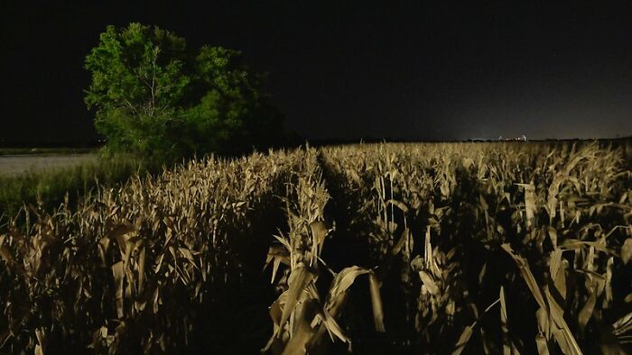 People Are Spitting Out Their Family Secrets That Are Not For The Faint-Hearted (30 Stories)