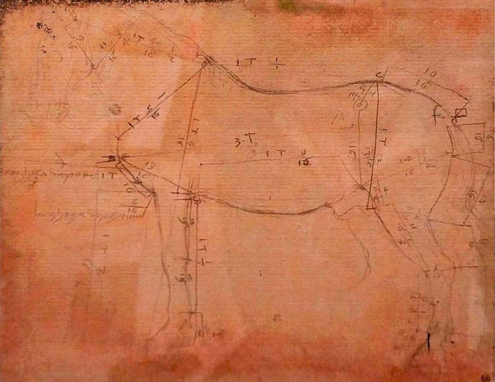 Leonardo da Vinci's horse proportions study on pale pink laid paper showing detailed measurement sketches for art classes facts.
