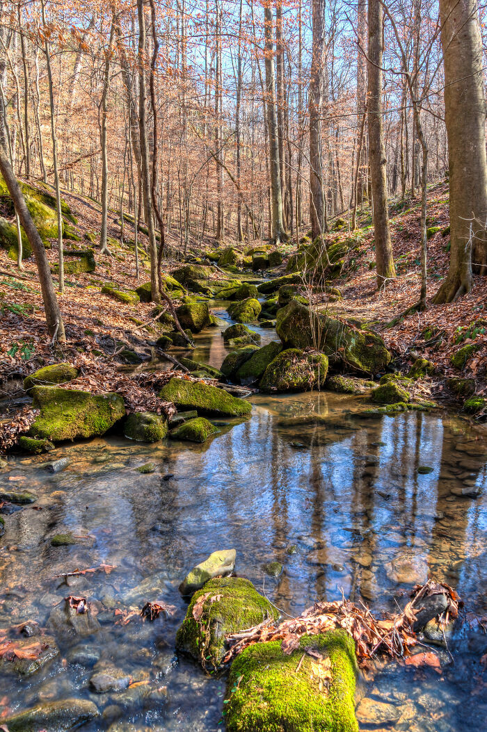Alguien preguntó en Internet "Estadounidenses, ¿qué es algo bueno de su país?" y 25 personas respondieron