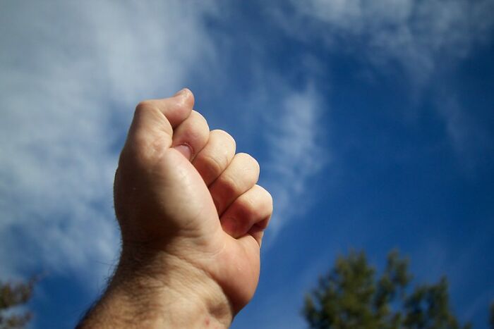 40 Bizarre Beliefs People Will Defend Until The End Of Days, As Revealed By Folks Online