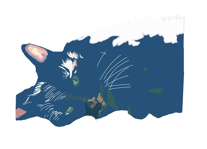 Here You Go, Bonesko!